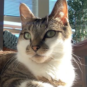 Meet your Posher, Sara